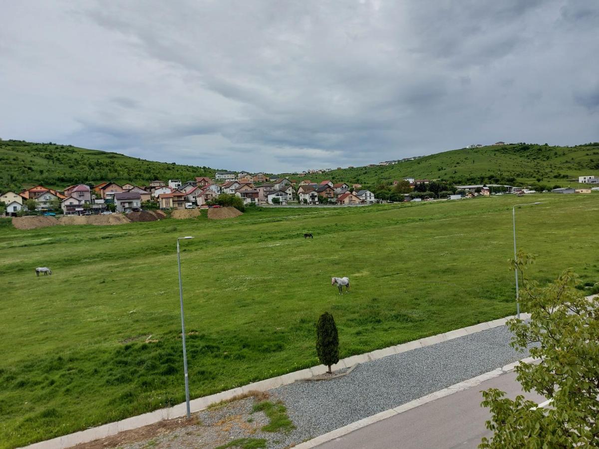 Pensiunea Albina Sinnicoara Eksteriør billede